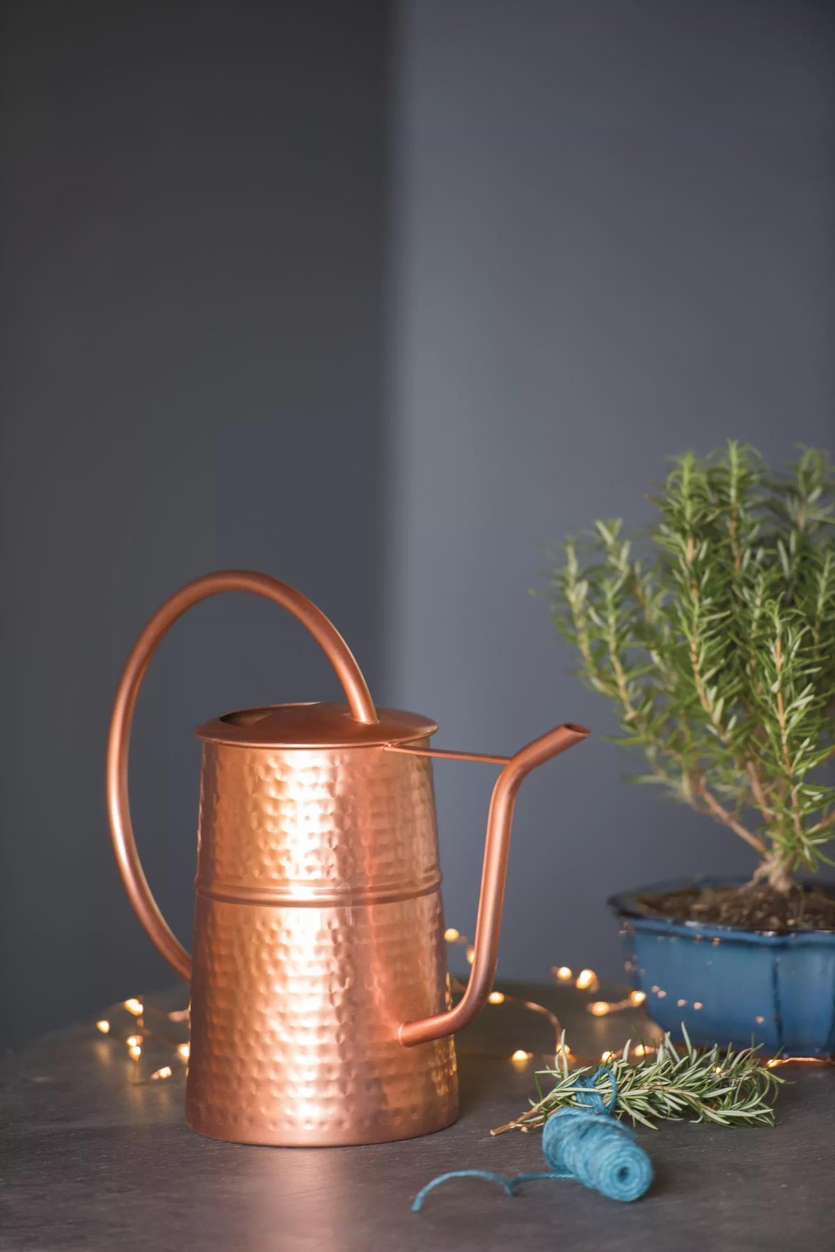 Copper Indoor Watering Can