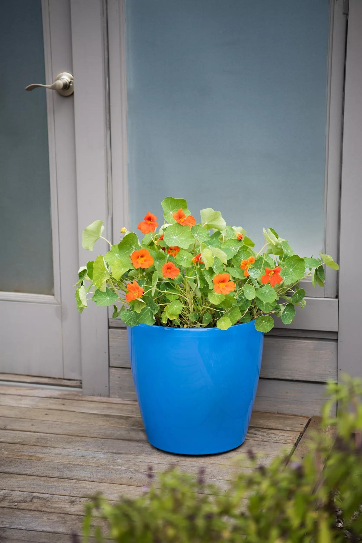 Viva™ Round Self-Watering Rolling Planter, 17.25” Diameter