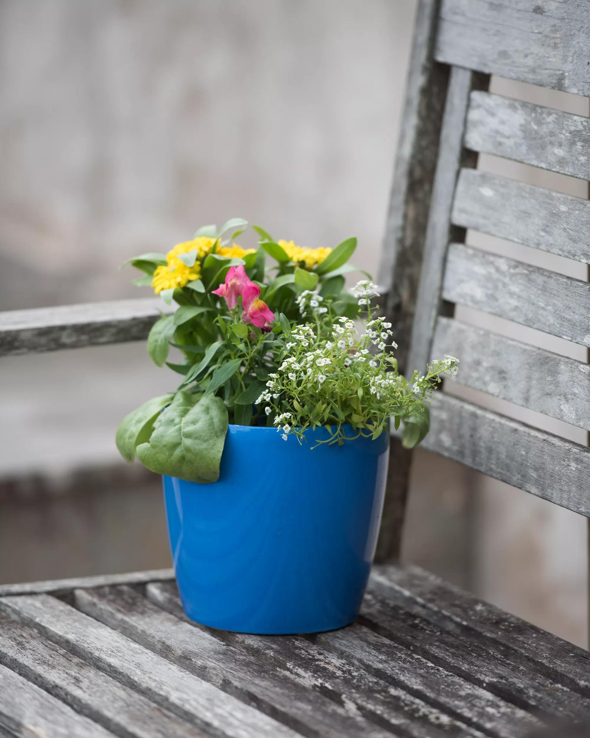 Viva™ Round Self-Watering Planter, 7" Diameter