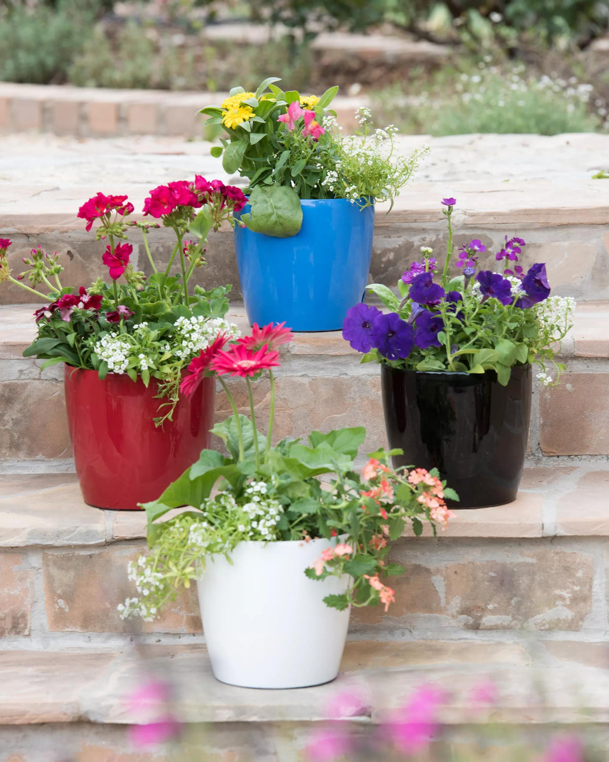 Viva™ Round Self-Watering Planter, 7" Diameter