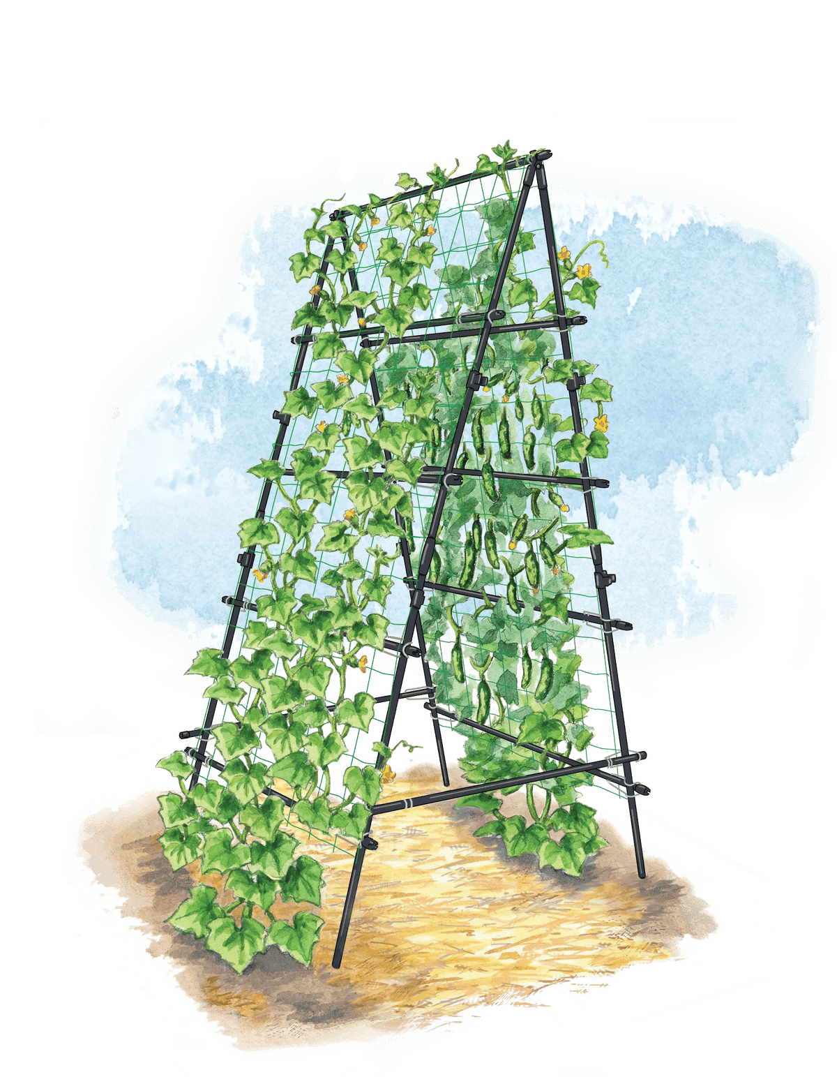 Titan™ A-Frame Trellis