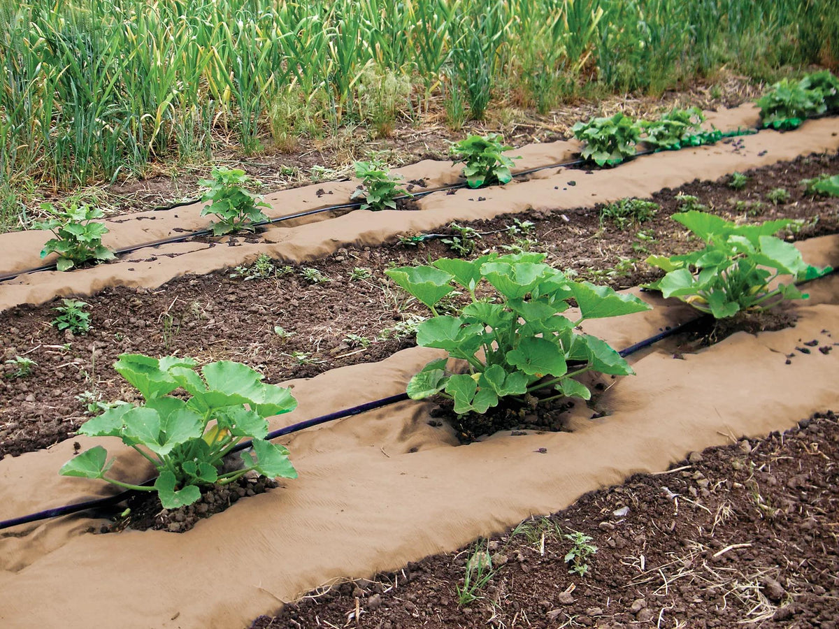 Weedguard Plus Paper Mulch, 50'