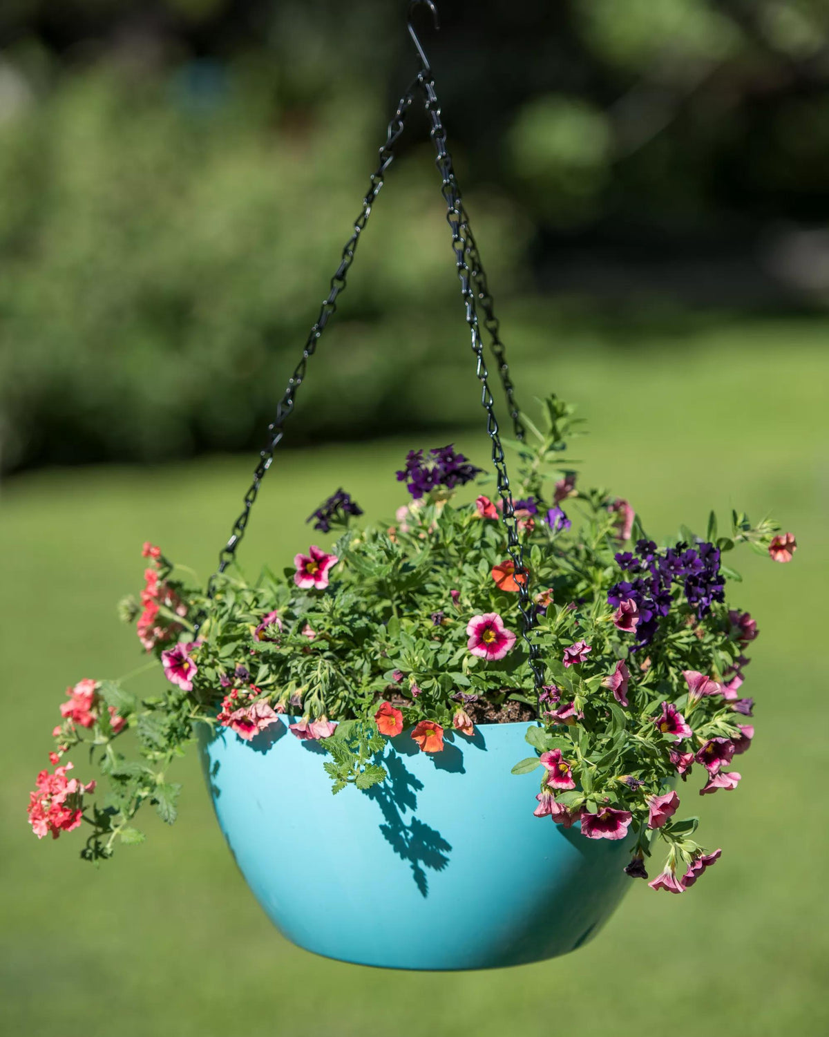 Viva™ Self-Watering Hanging Basket, 14" Diameter