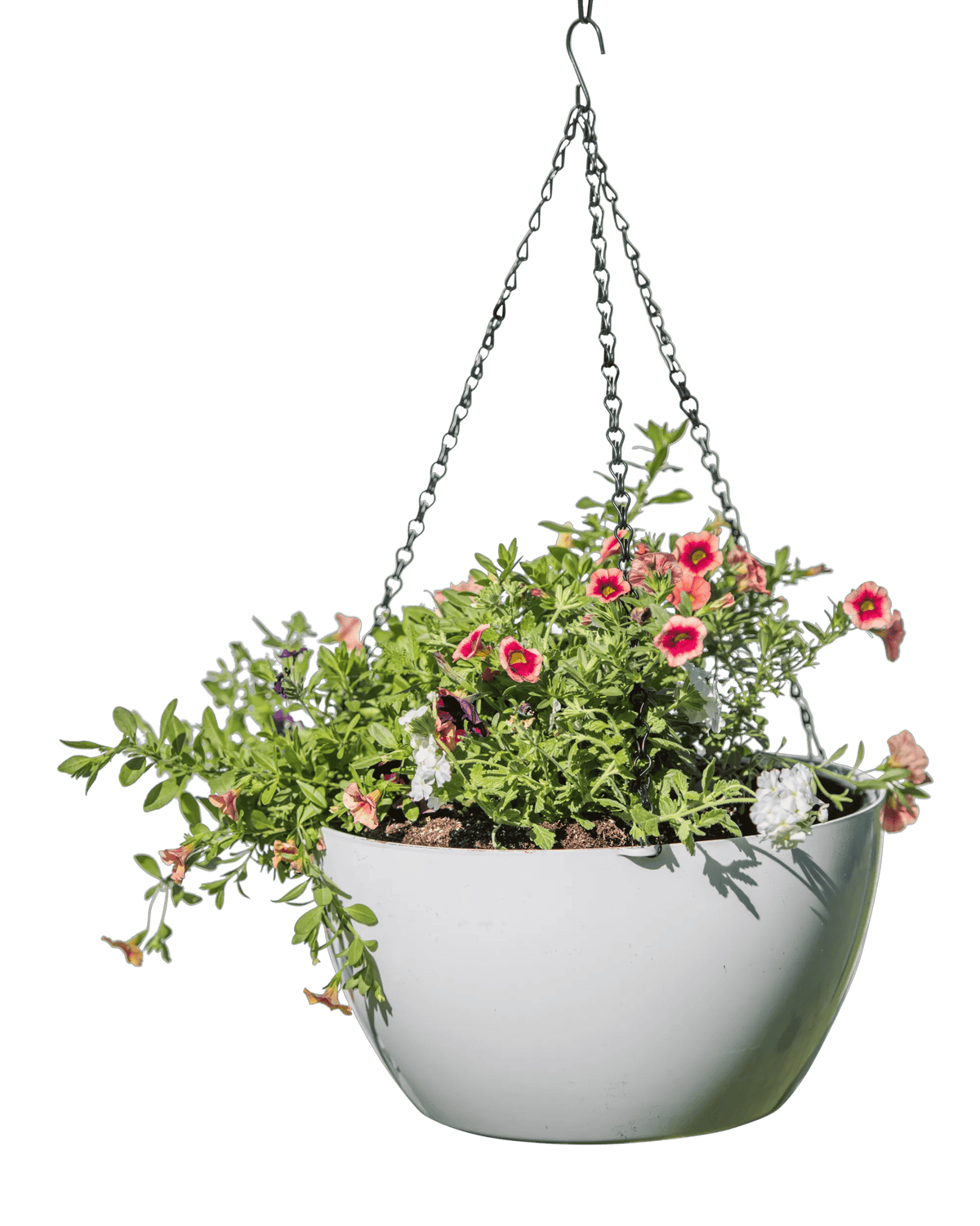 Viva™ Self-Watering Hanging Basket, 14" Diameter