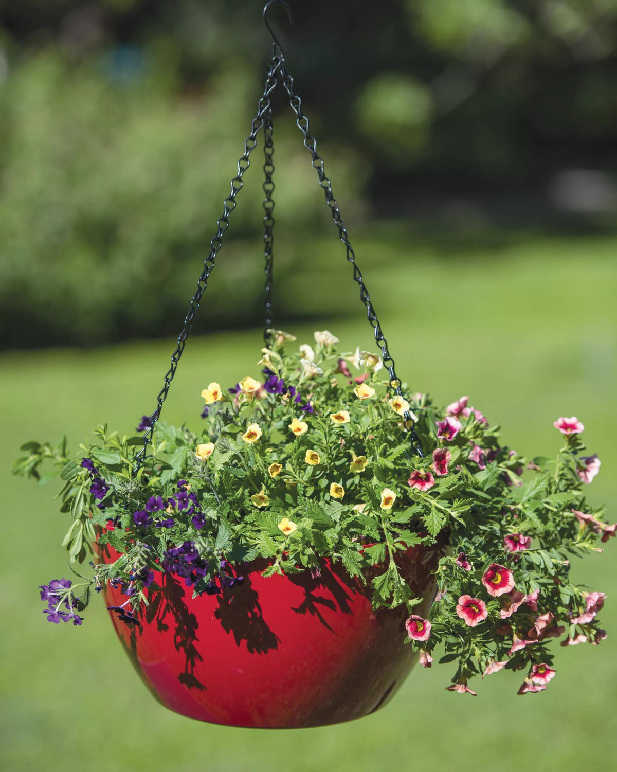 Viva™ Self-Watering Hanging Basket, 14" Diameter