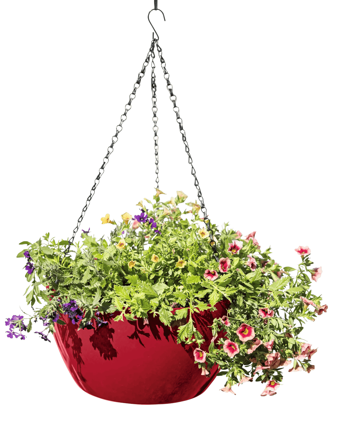 Viva™ Self-Watering Hanging Basket, 14" Diameter