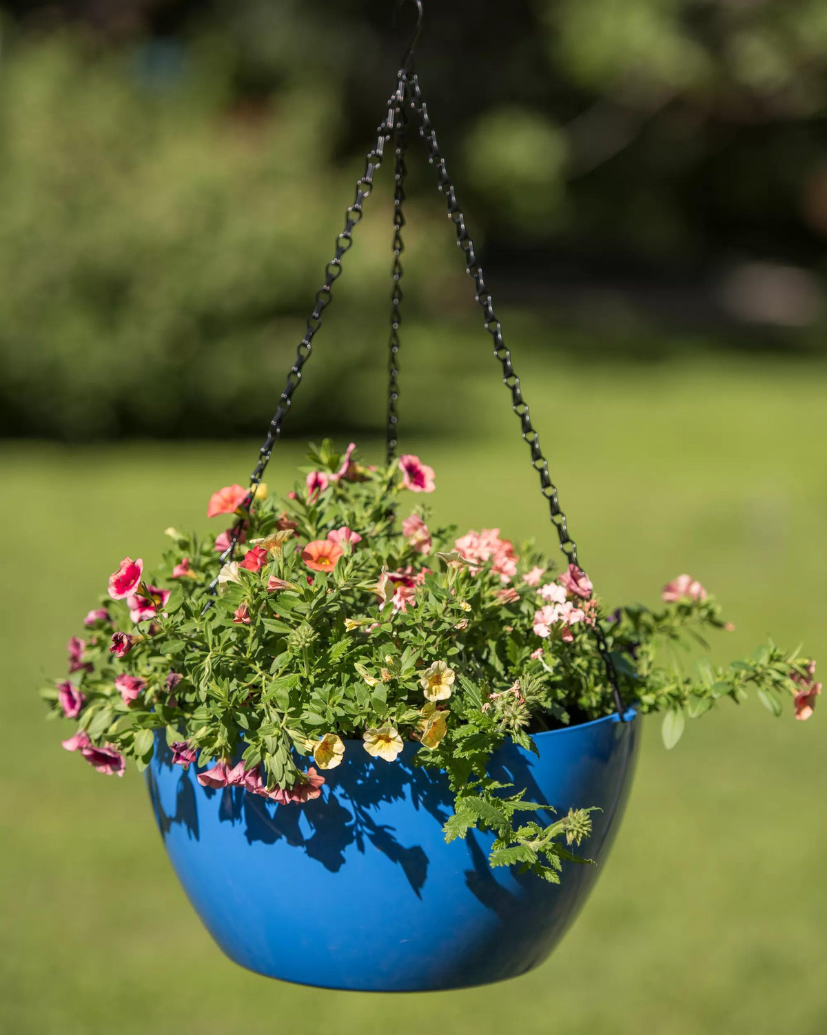 Viva™ Self-Watering Hanging Basket, 14" Diameter