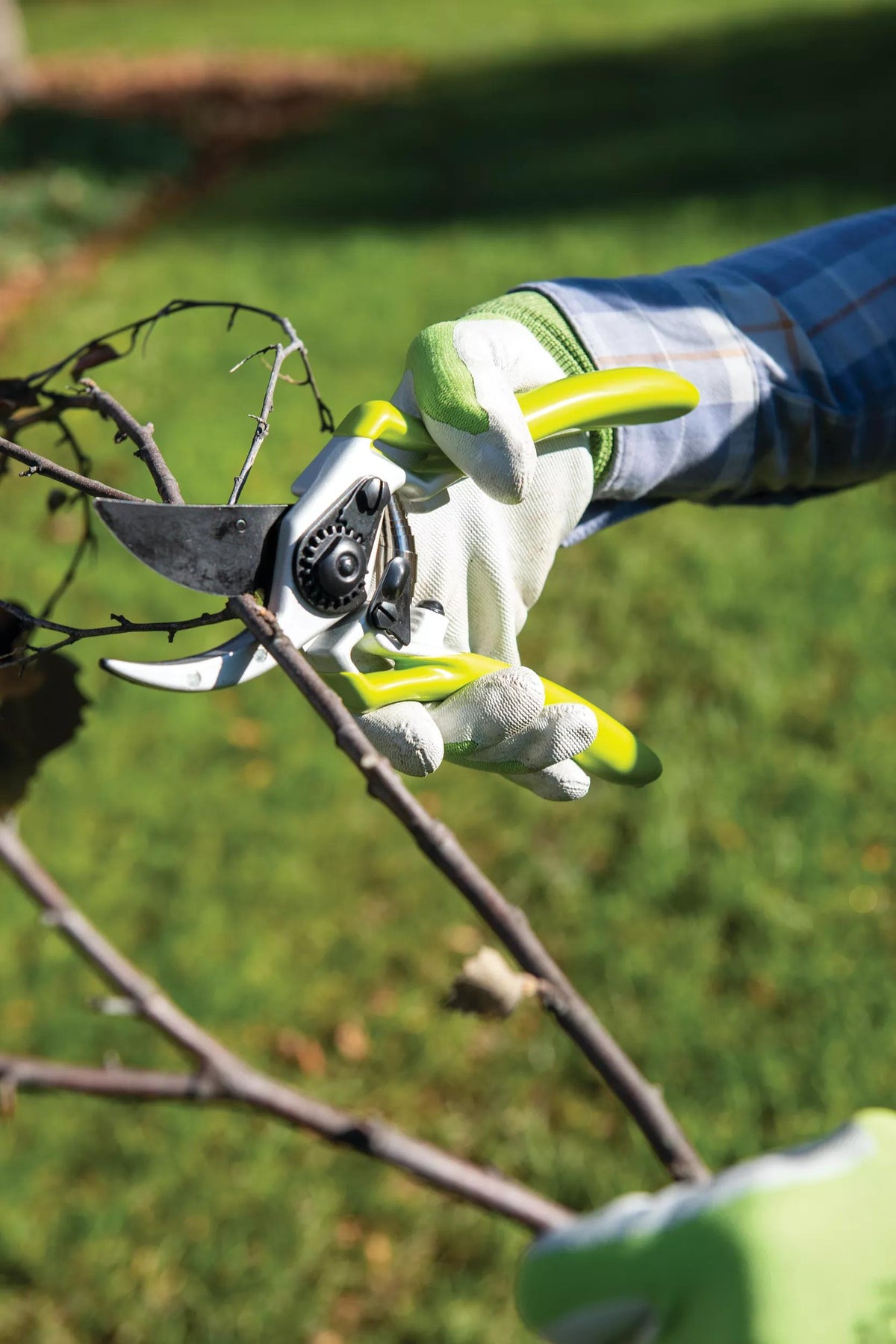 Gardener's Pro Pruner #2