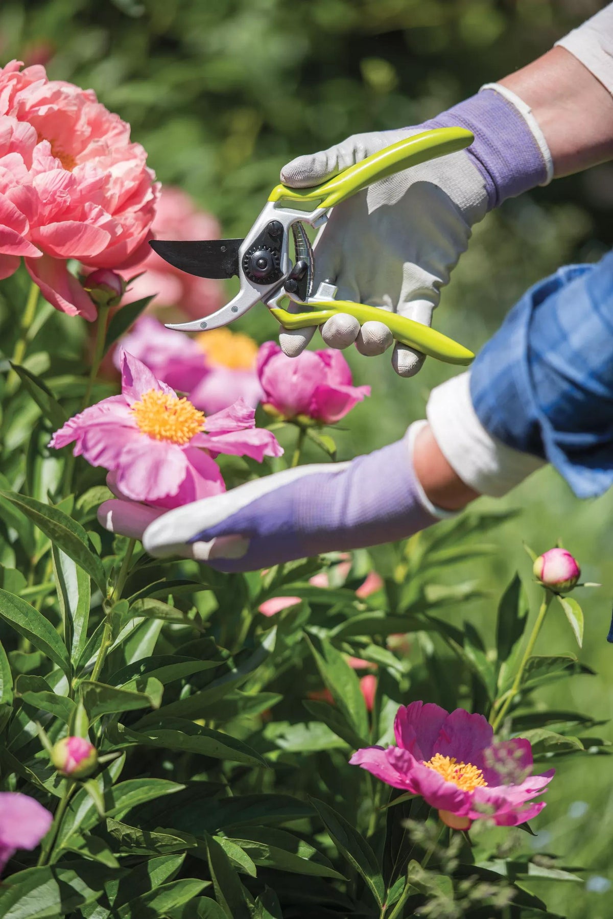 Gardener's Pro Pruner #2