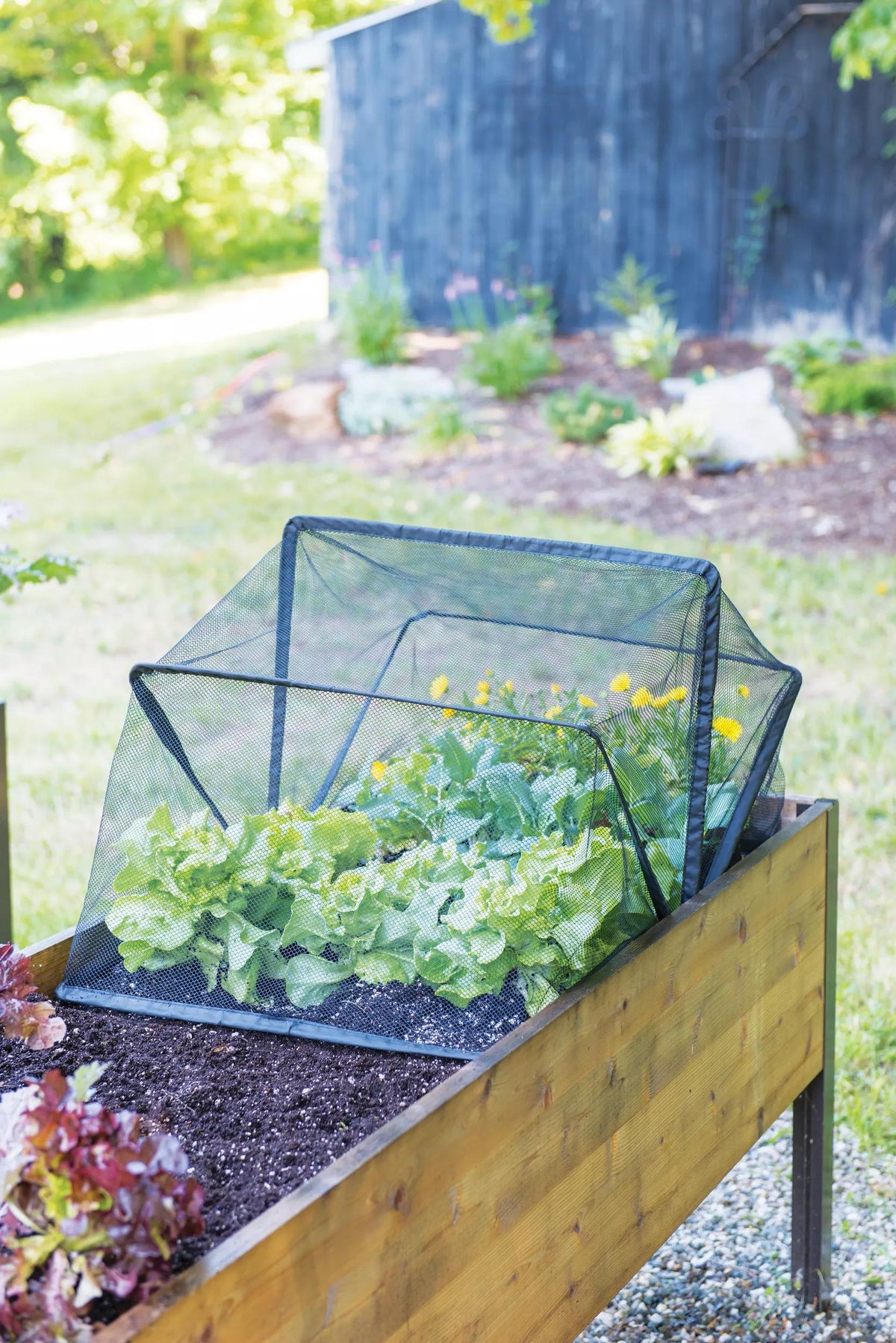 Pop-Up Bird Netting