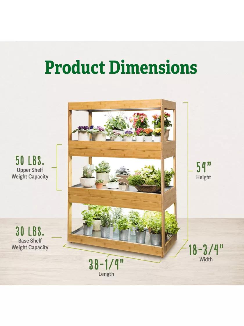 Bamboo LED Grow Light Garden for Succulents and Seeds
