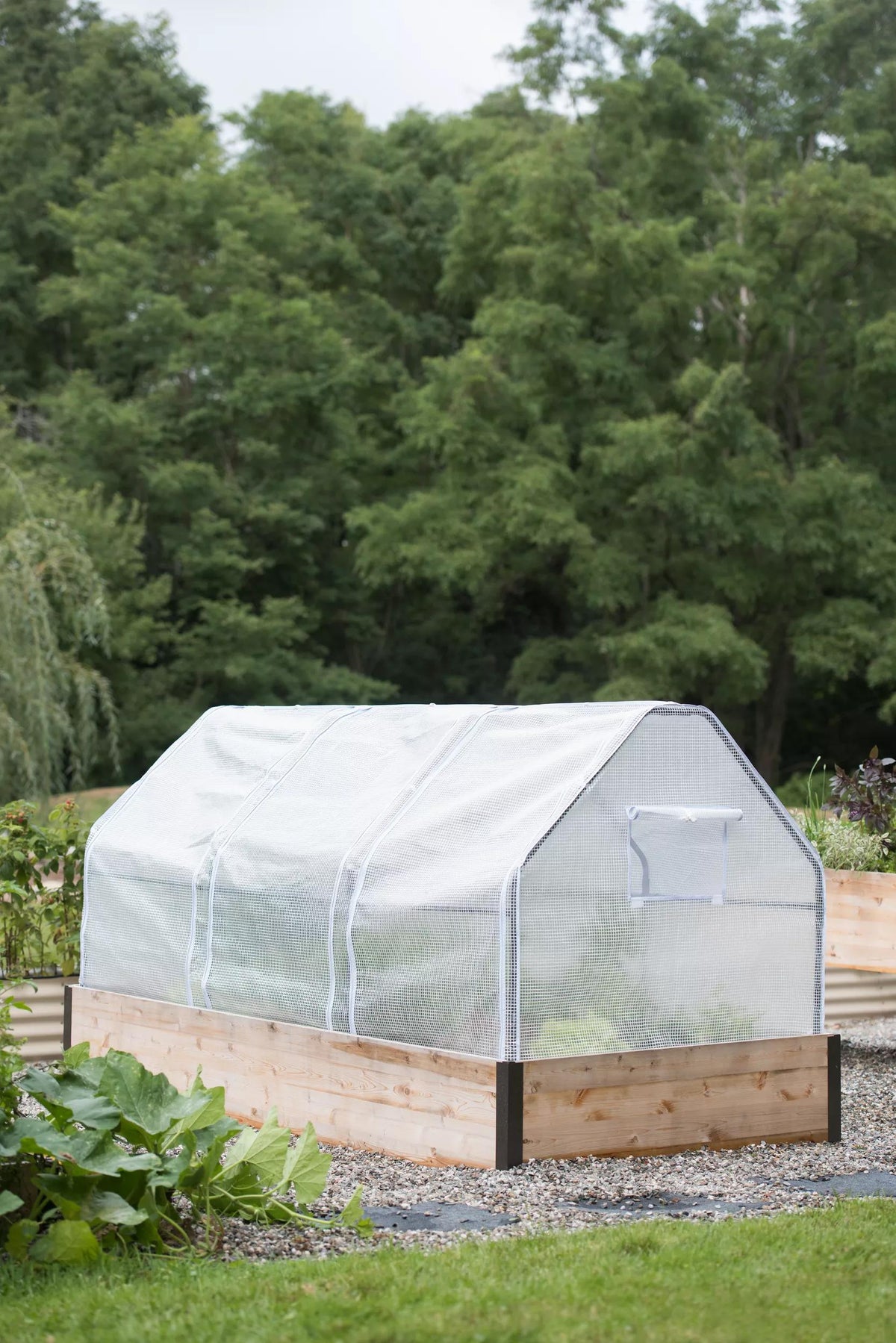 3-Season Plant Protection Tent, 4' x 8'