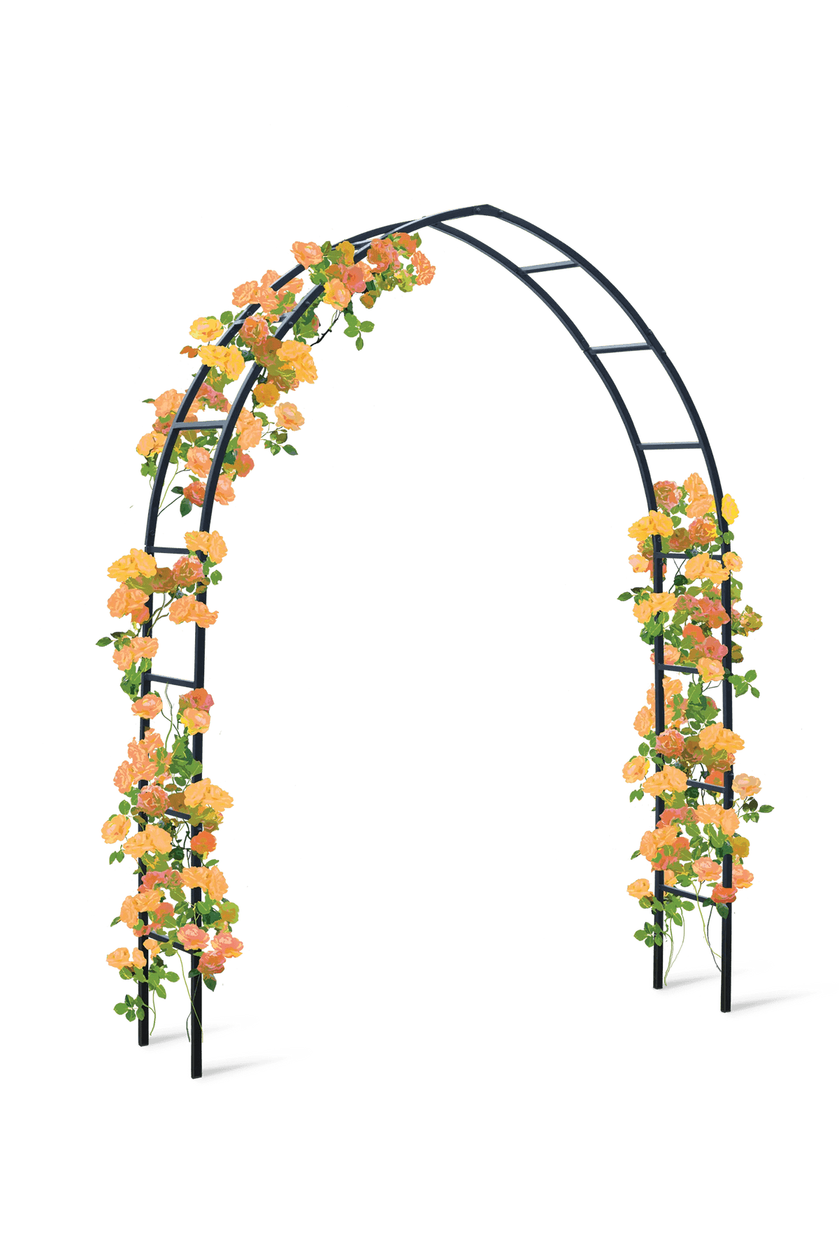 Gothic Arch
