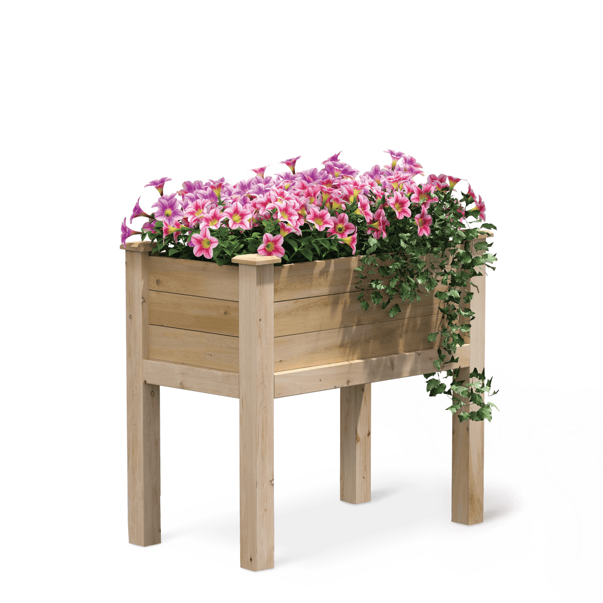 Elevated Cedar Garden Bed, 32" x 16" x 31"