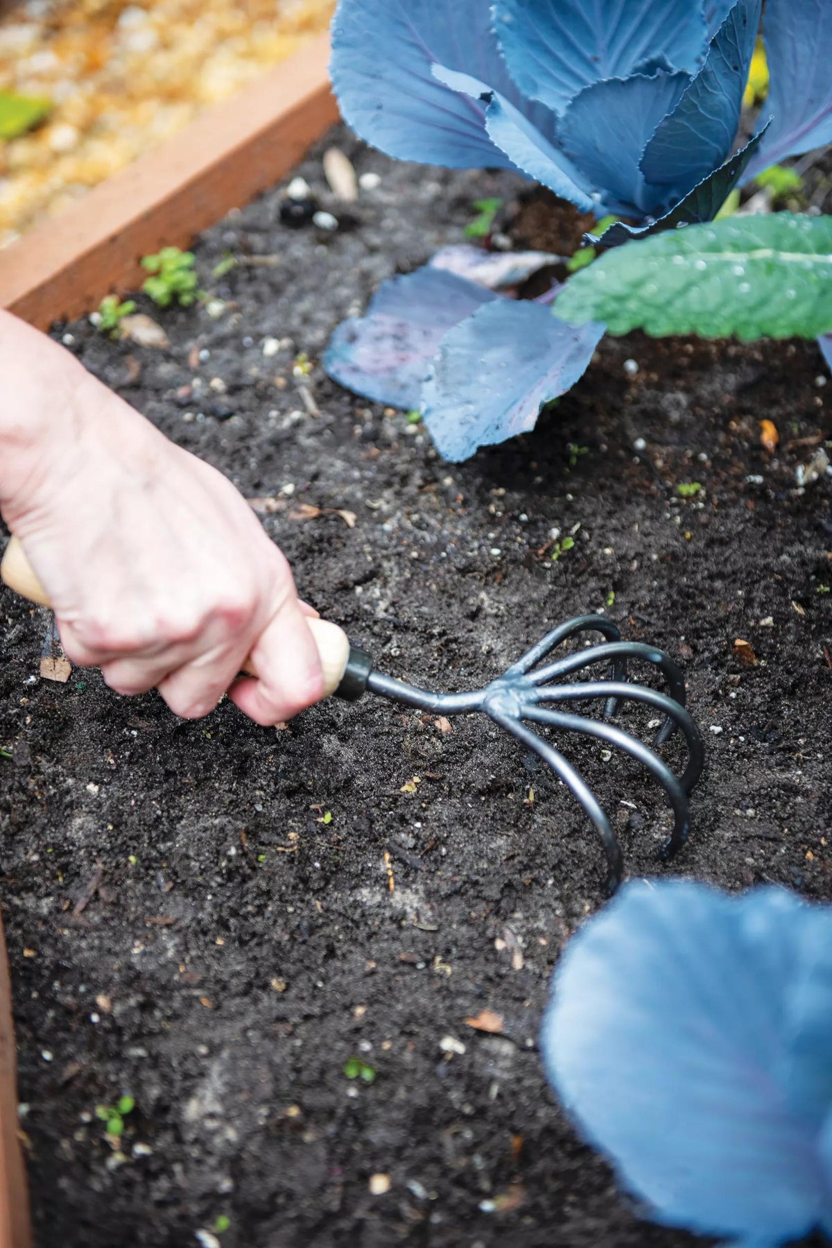Gardener's Lifetime 5-Tine Cultivator with Short Handle