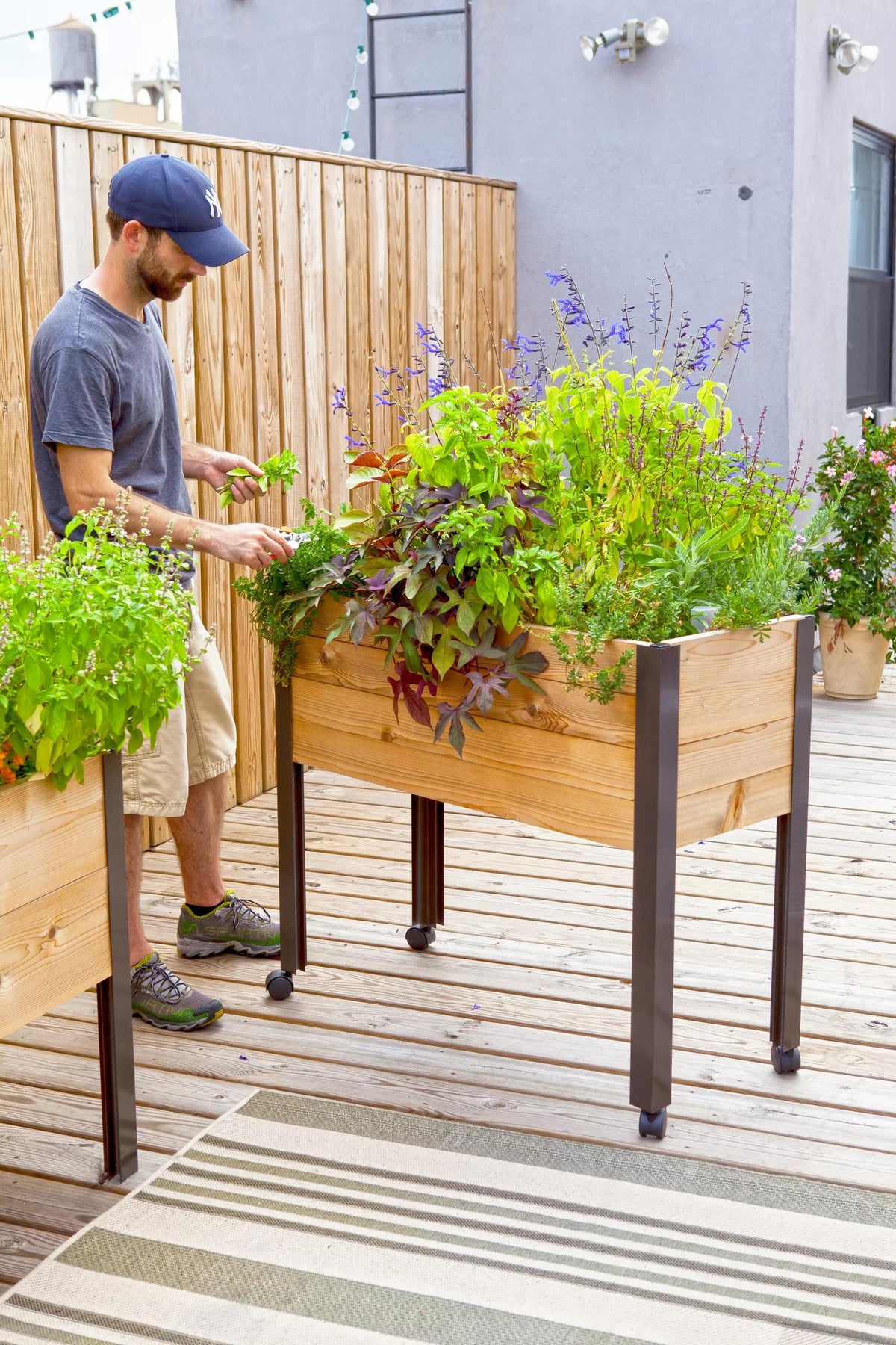 Rolling Patio Garden (11" D)