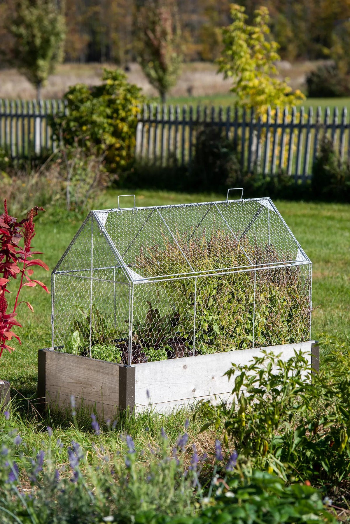 Chicken Wire Crop Coop