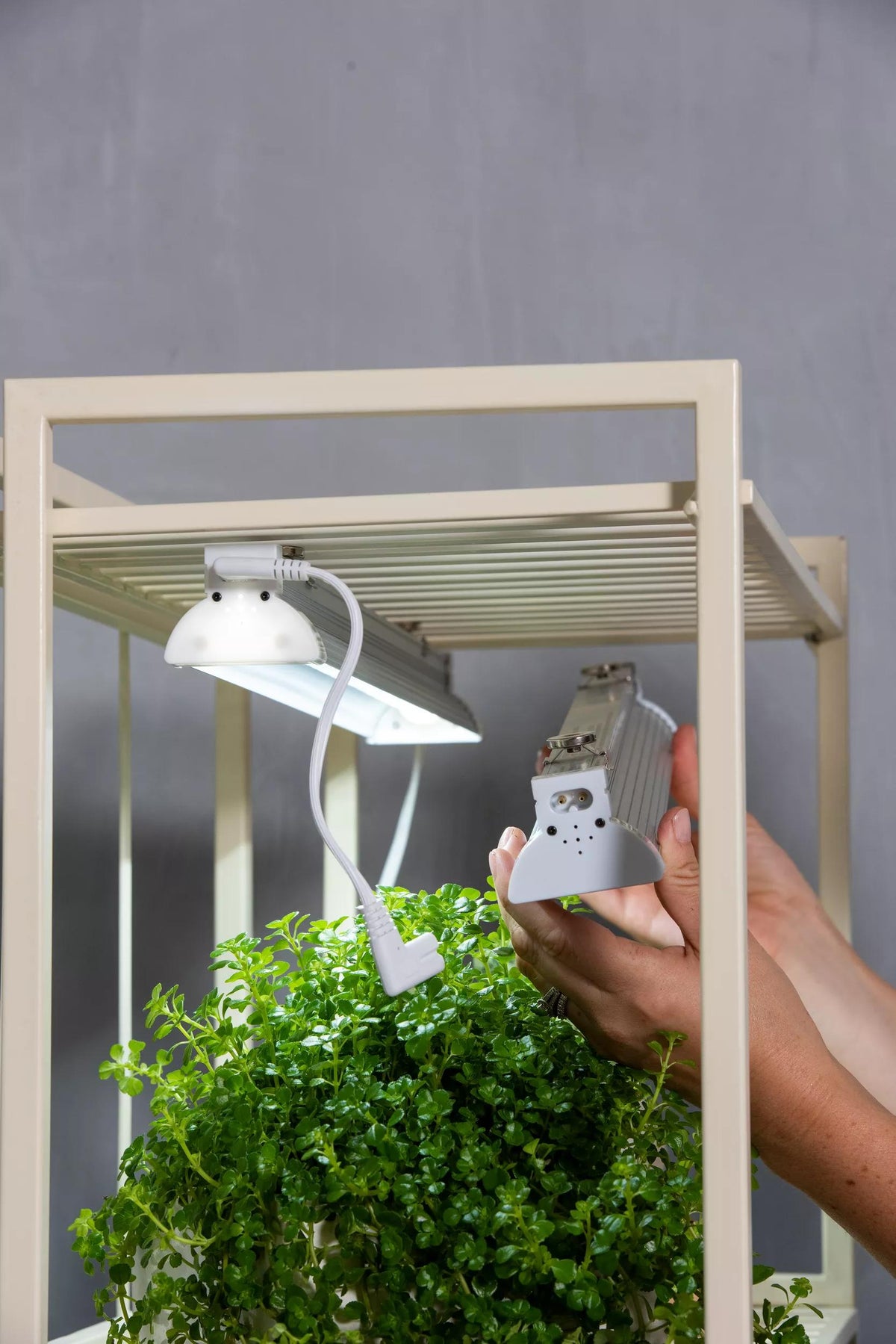 Oslo™ 2' LED High Output Replacement Fixtures with Magnetic Clips, Set of 2