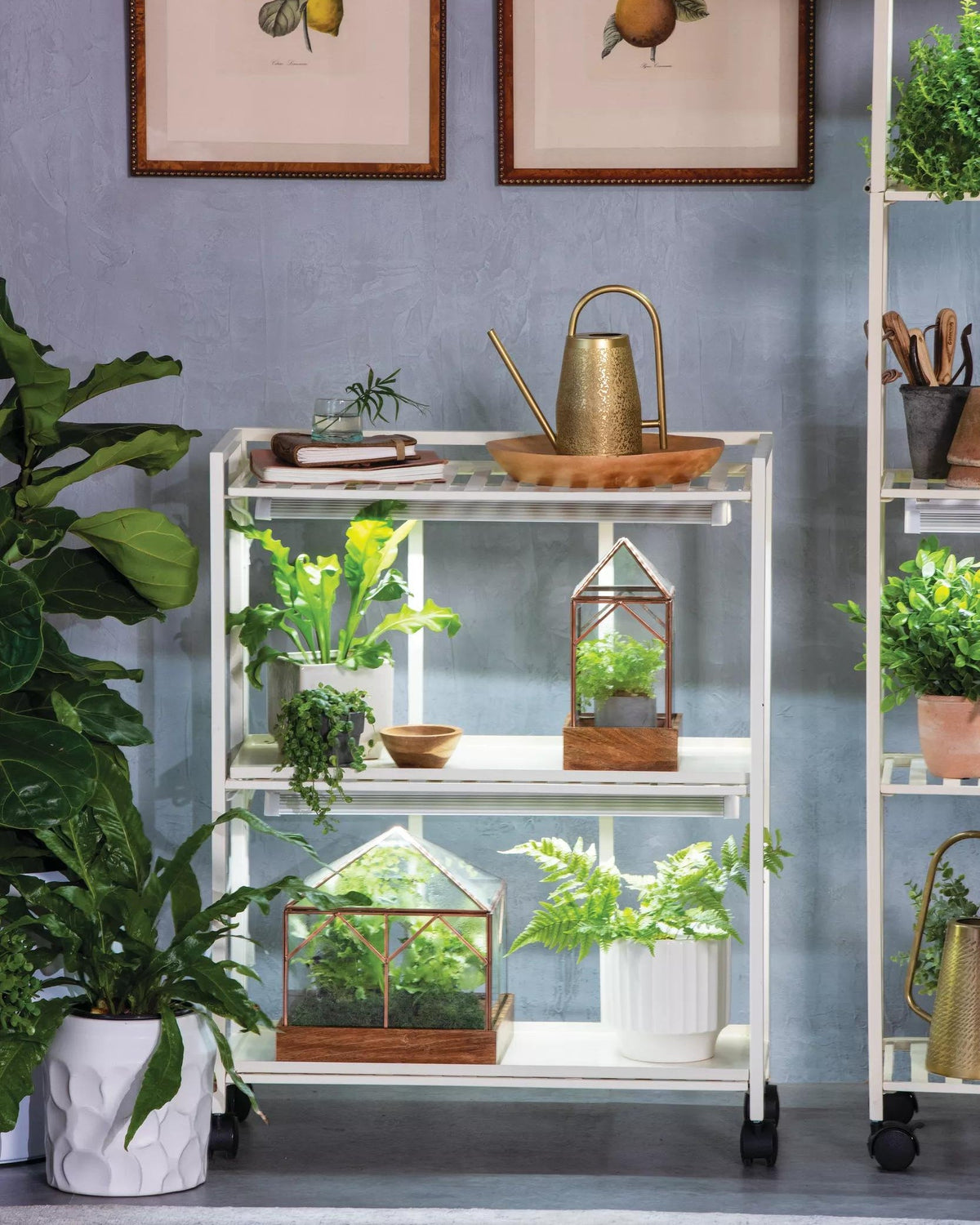 Oslo™ 2-Tier LED Grow Light Garden, 2 Fixtures
