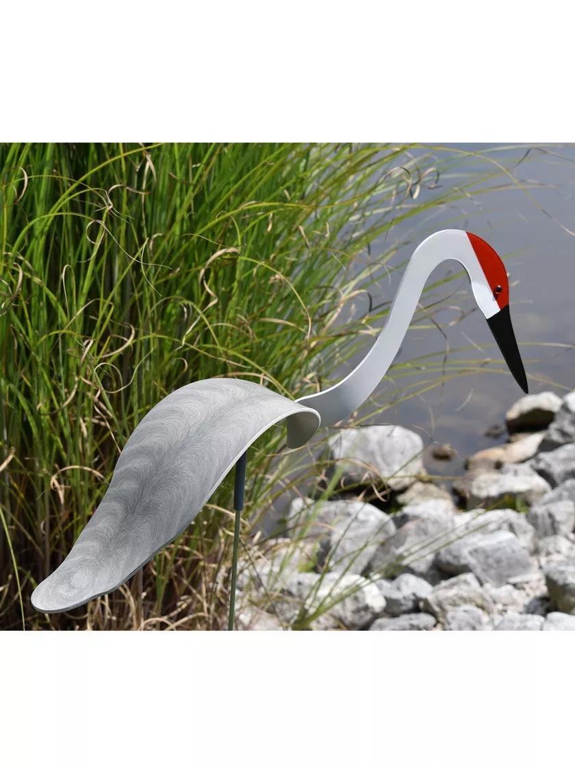 Florida Dancing Birds®, Sand Hill Crane