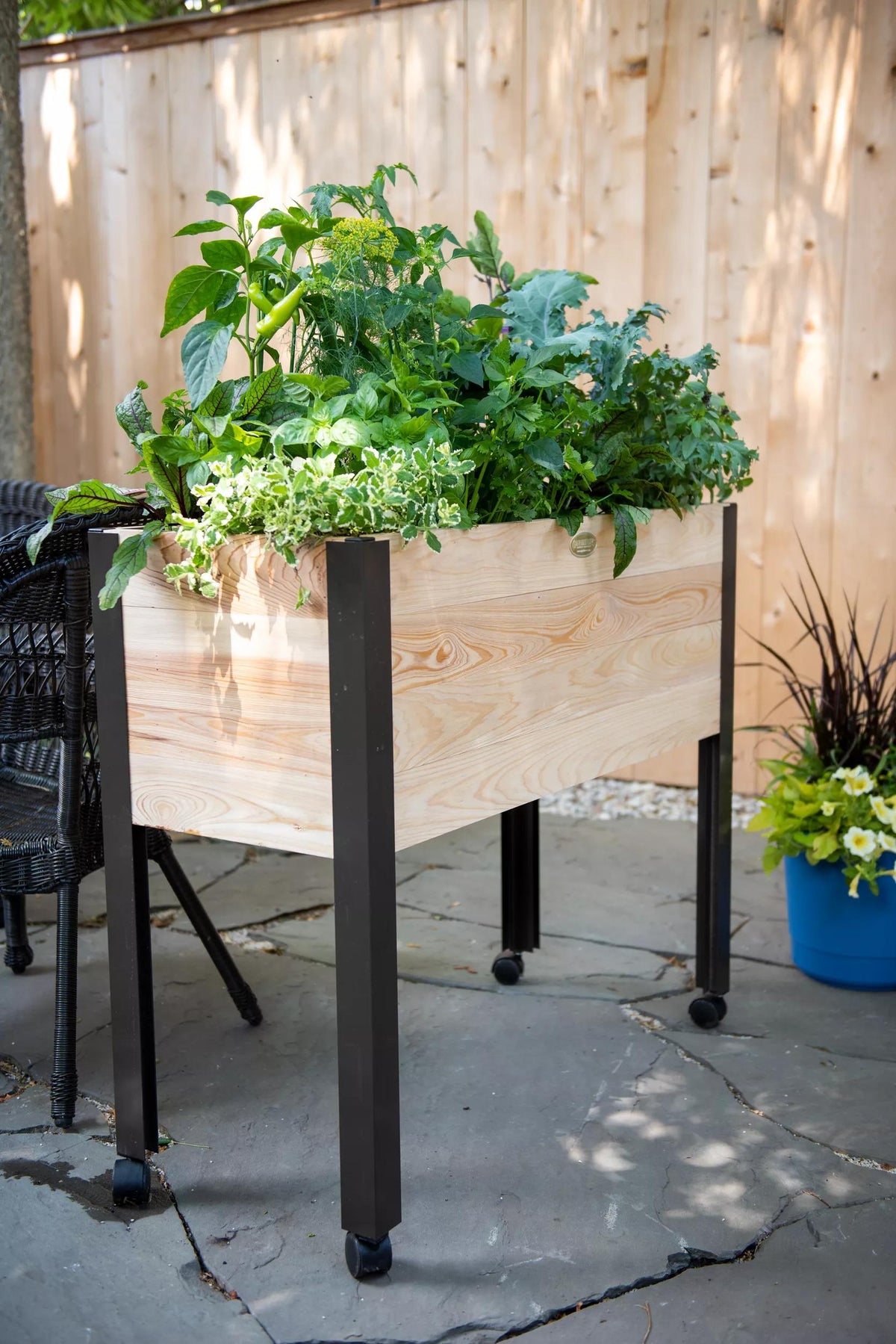 Rolling Patio Garden (11" D)