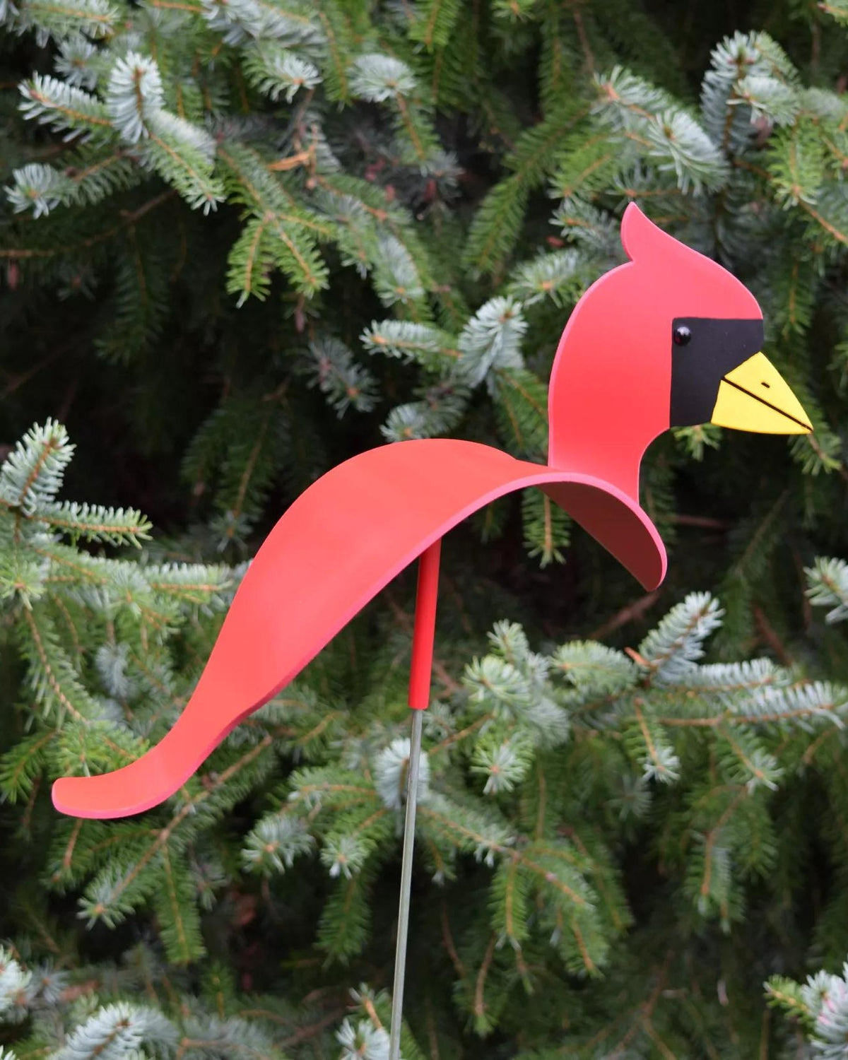 Florida Dancing Birds®, Cardinal