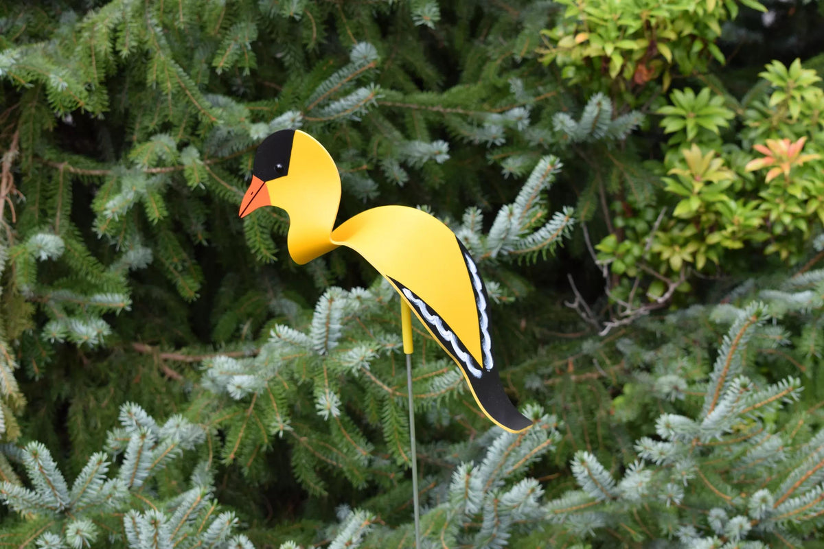 Florida Dancing Birds®, Goldfinch