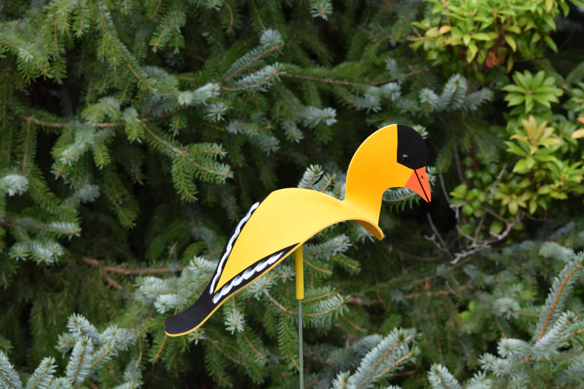 Florida Dancing Birds®, Goldfinch