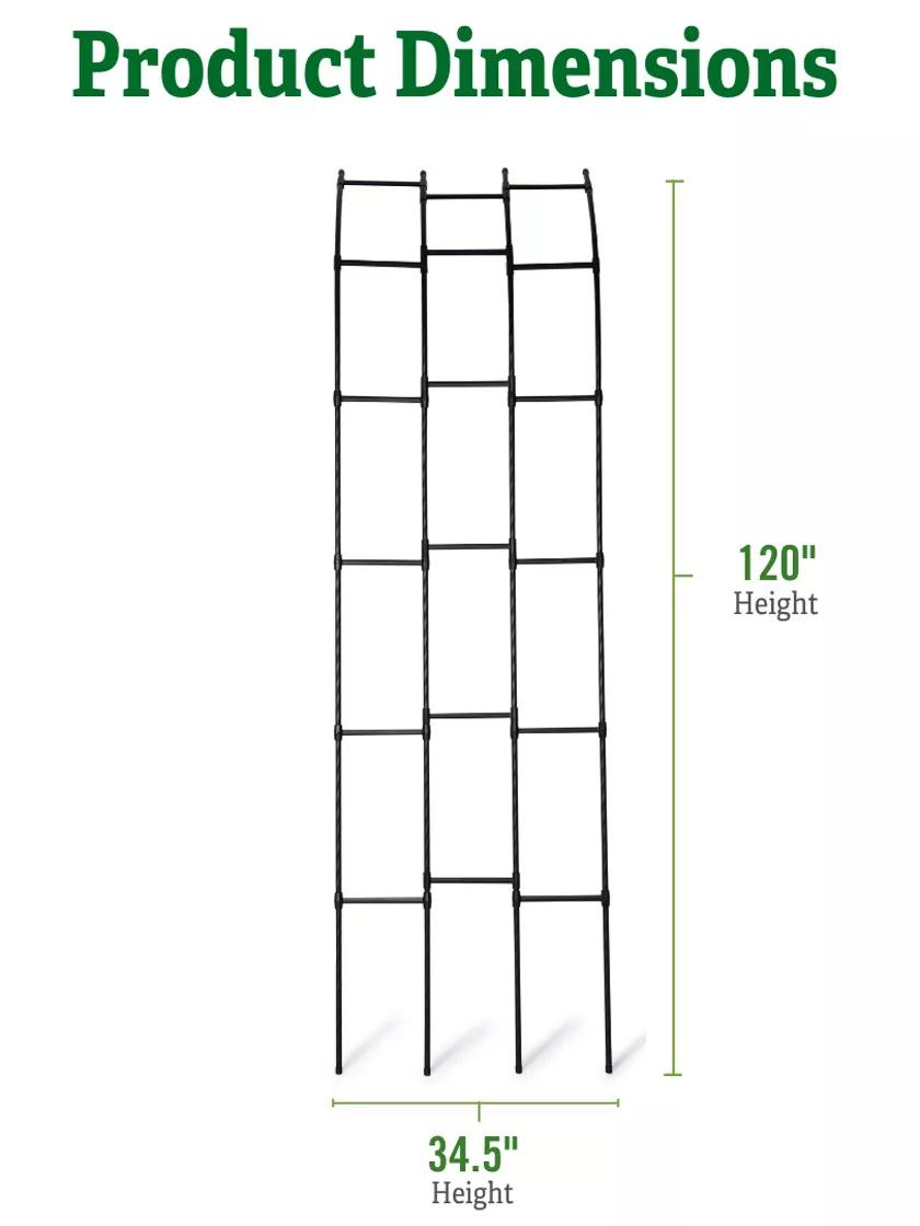 Titan™ Half Arch