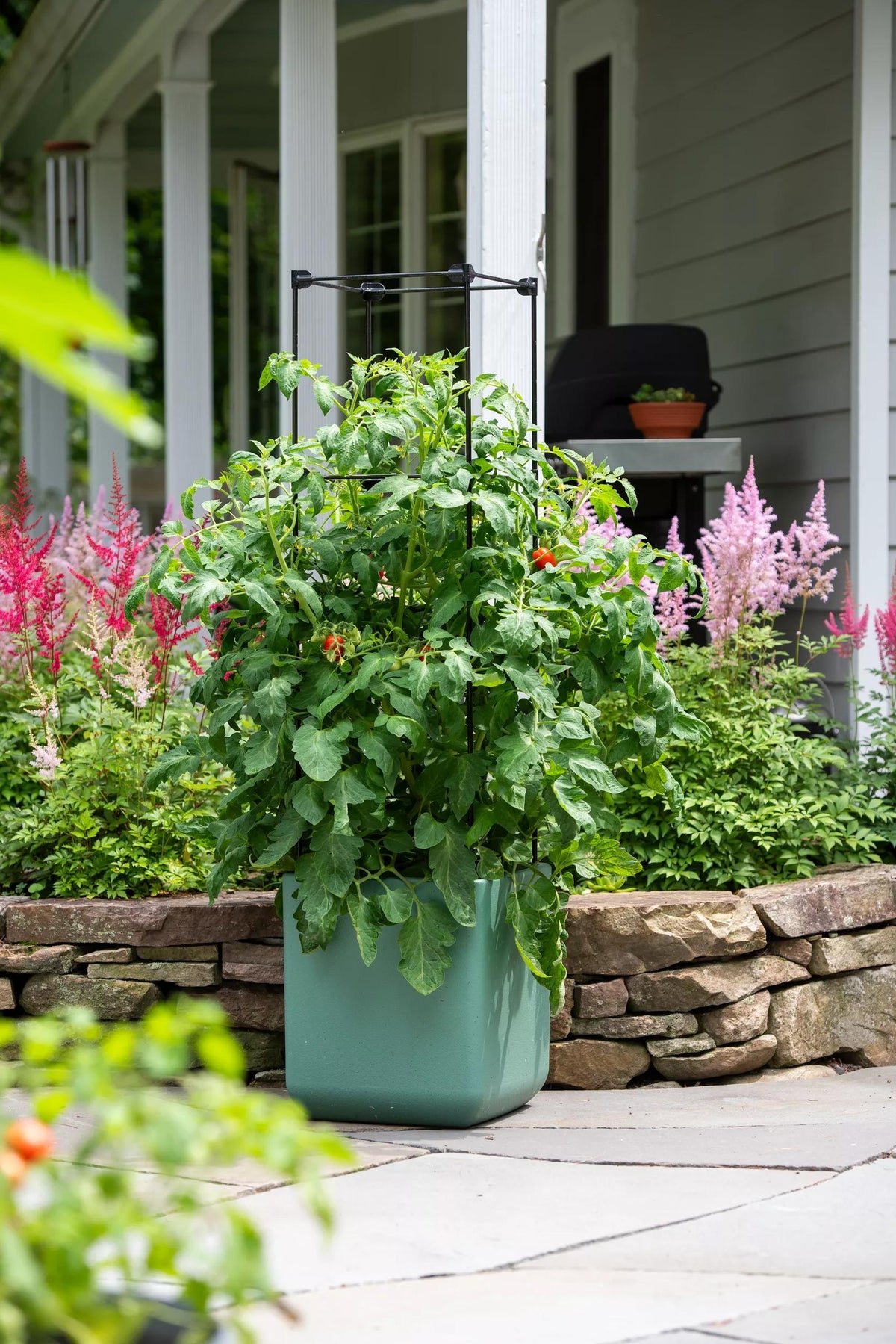 Oasis™ Self-Watering Tomato Planter With Trellis