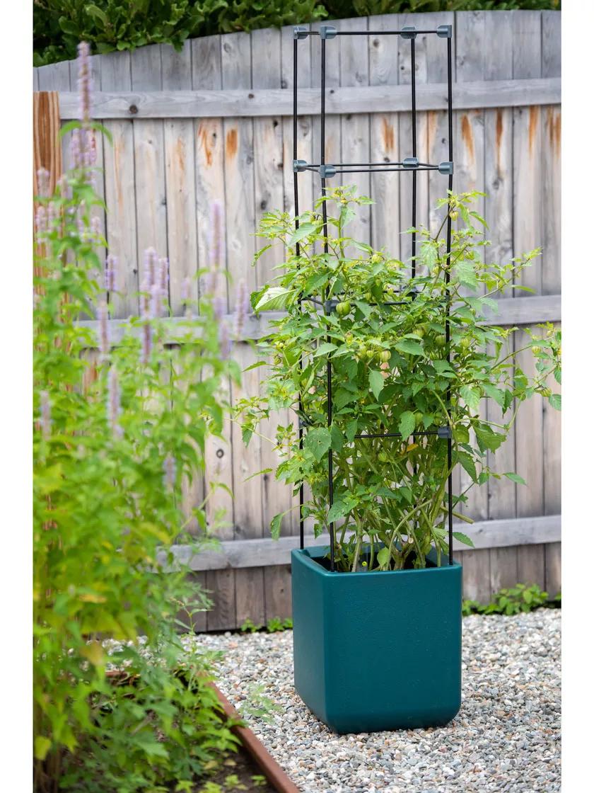 Oasis™ Self-Watering Tomato Planter With Trellis