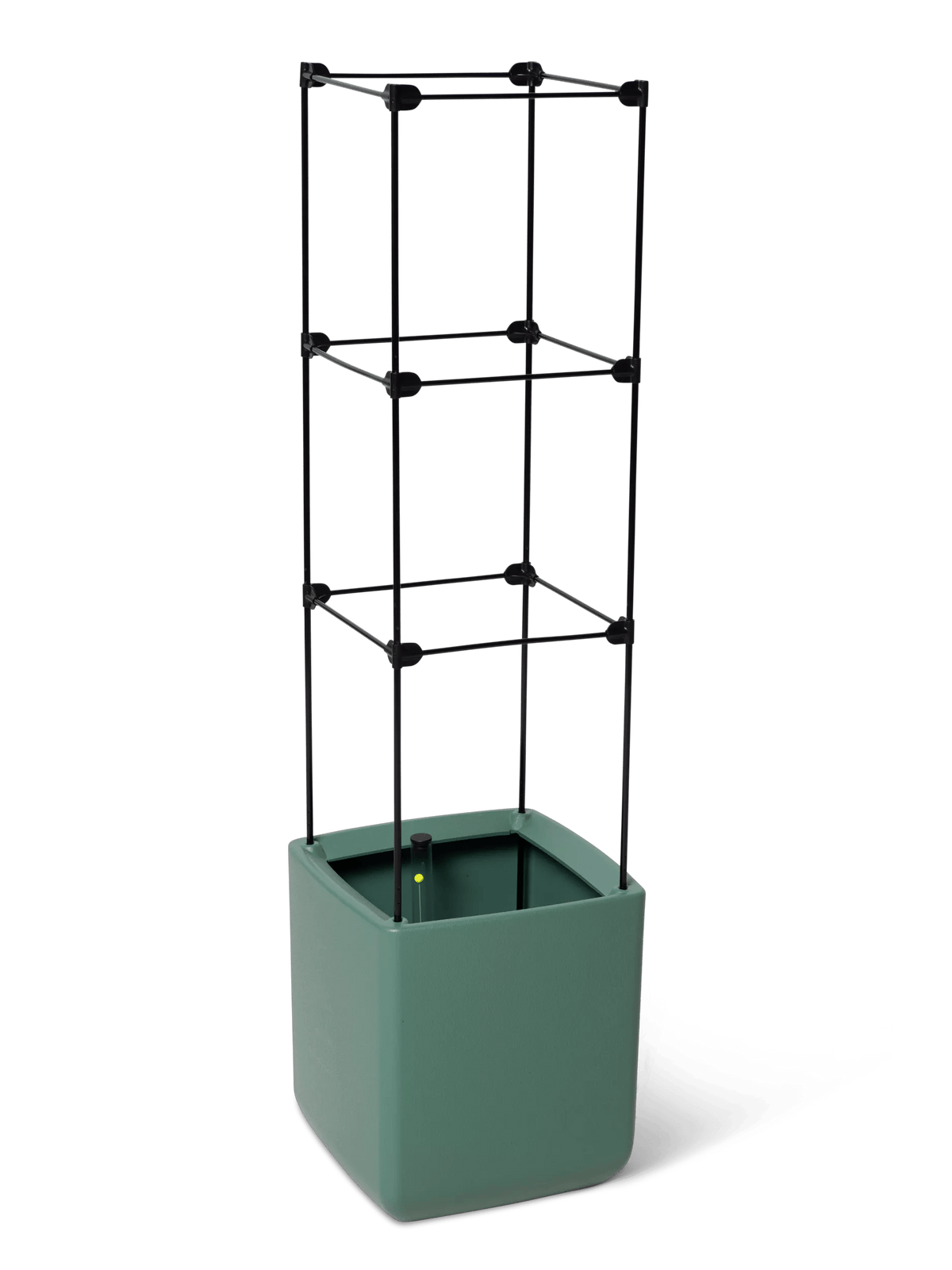 Oasis™ Self-Watering Tomato Planter With Trellis