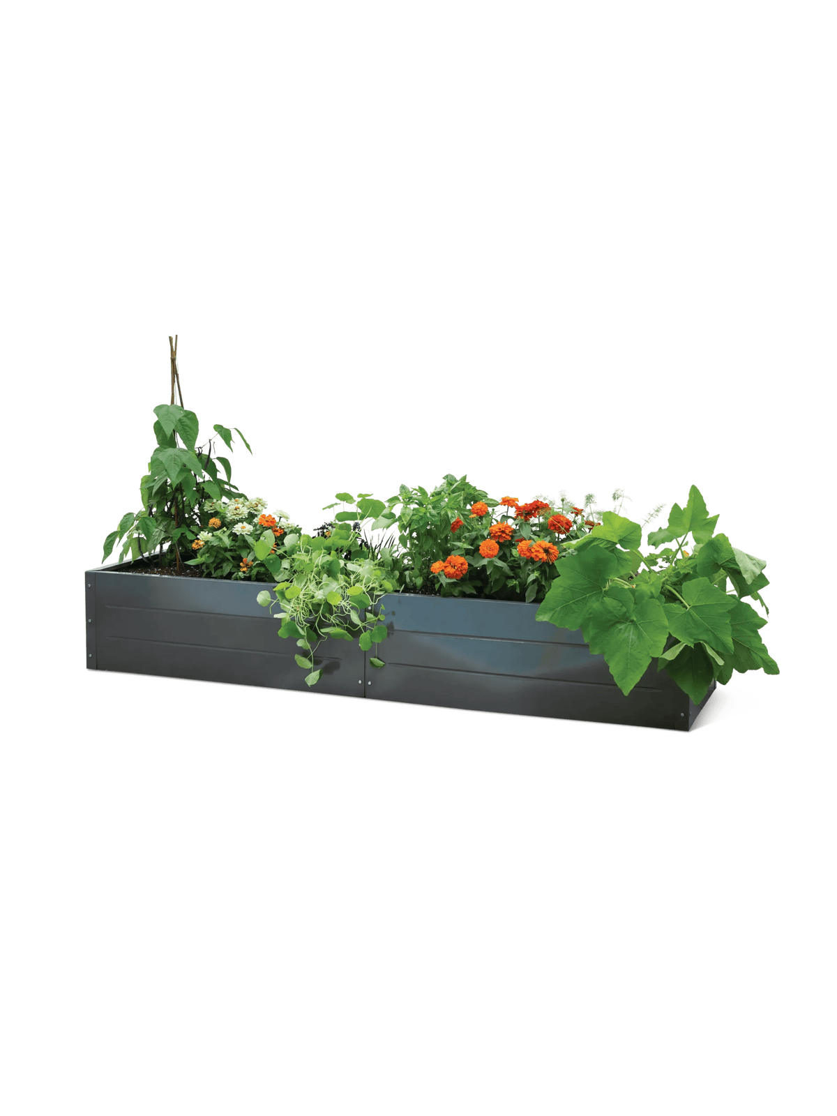 Putnam™ Metal Raised Bed, 24" x 90" (15"D)