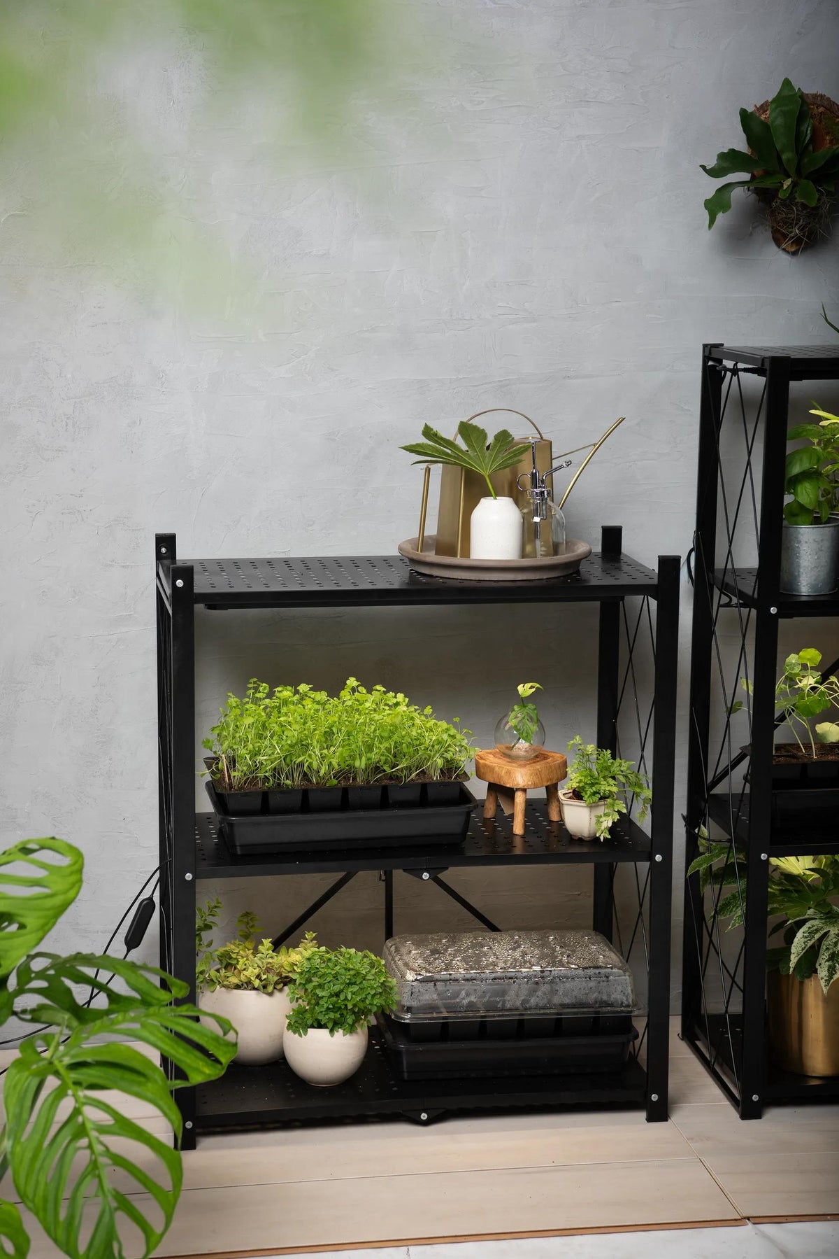 Folding 2-Tier Grow Shelf with Plant Lights