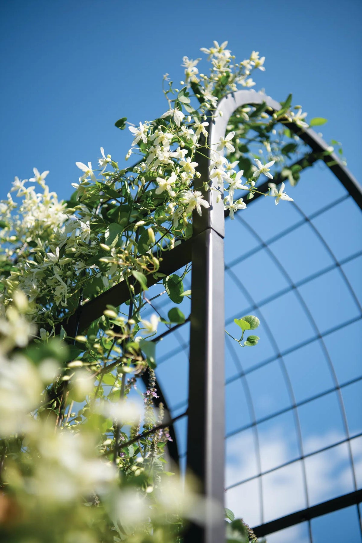 2' x 2' Arch Trellis for Planter Boxes