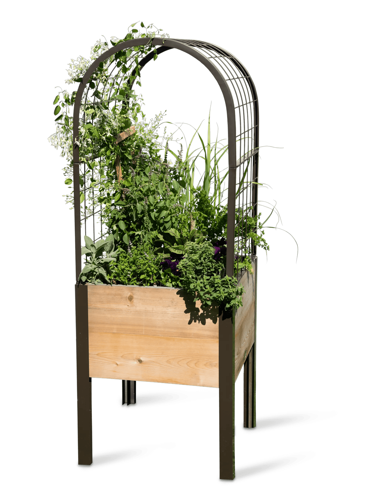 2' x 2' Arch Trellis for Planter Boxes