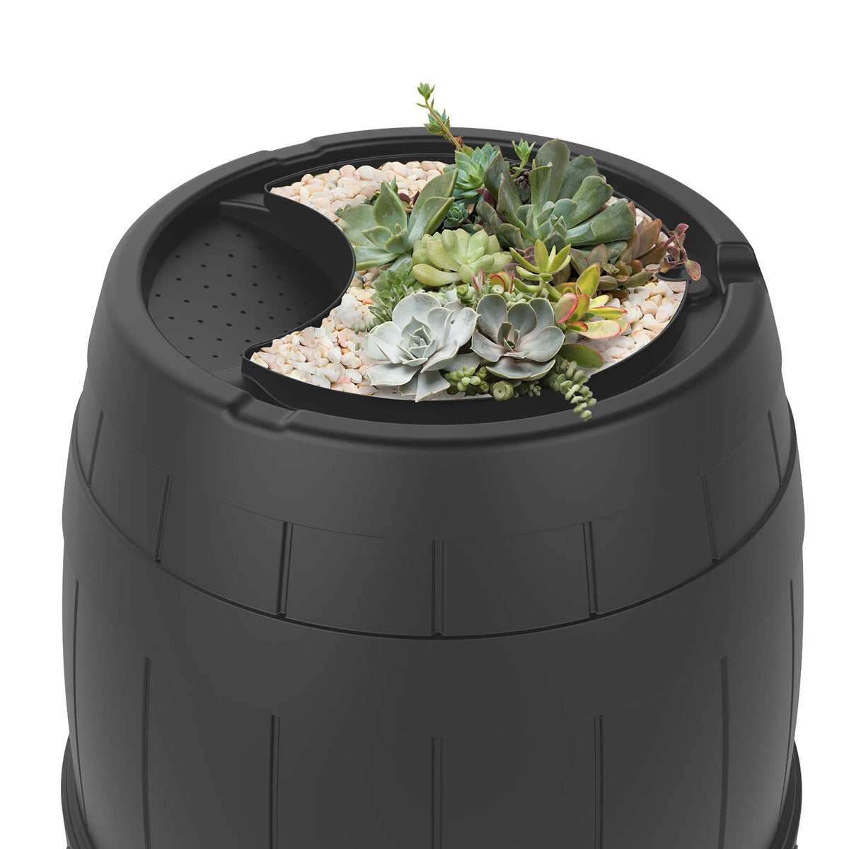 Rain Barrel