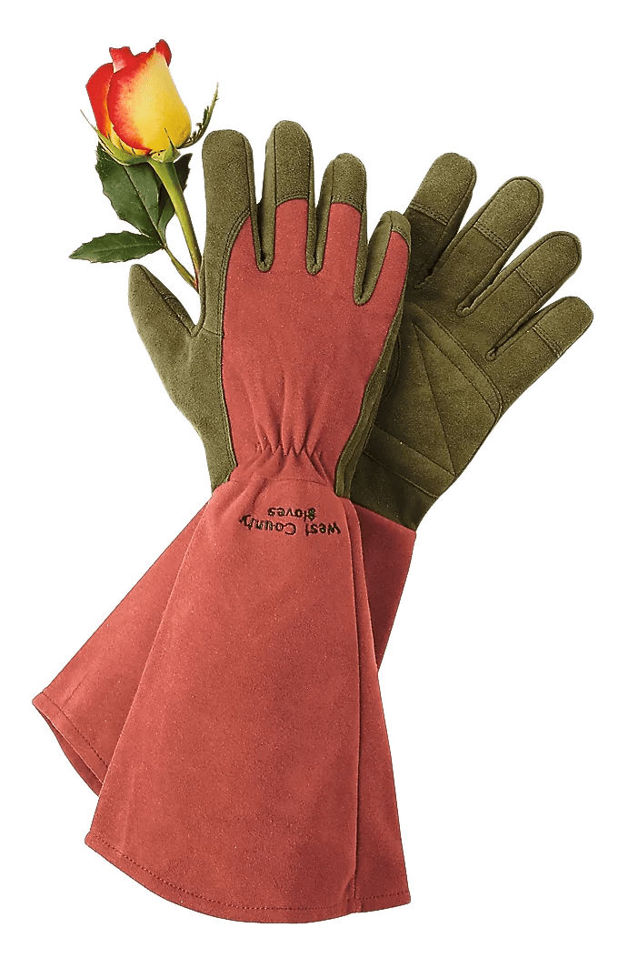 Rose Gloves
