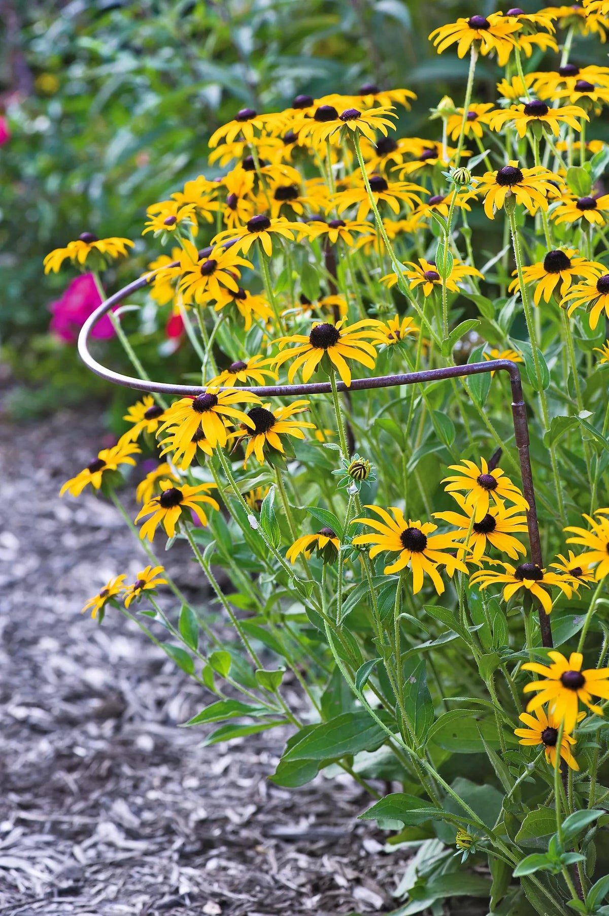 Jardin™ Half-Round Plant Supports, Set of 2