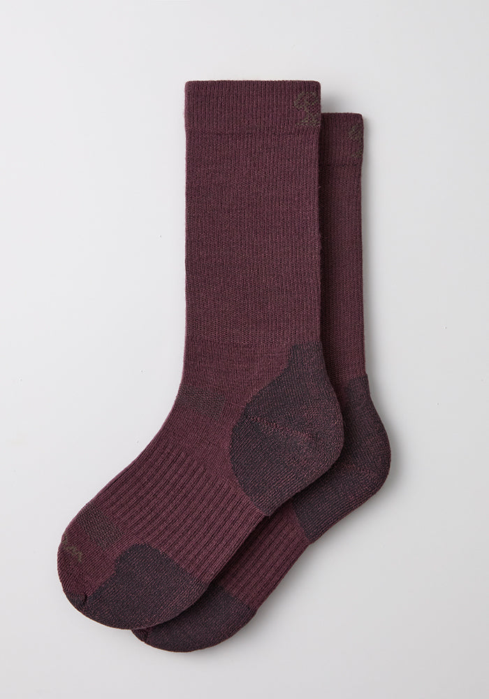 Womens Harbor Crew Sock - Grape Harvest