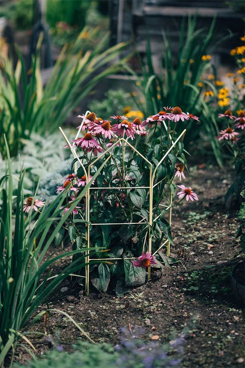 Zenith™ Flower Supports
